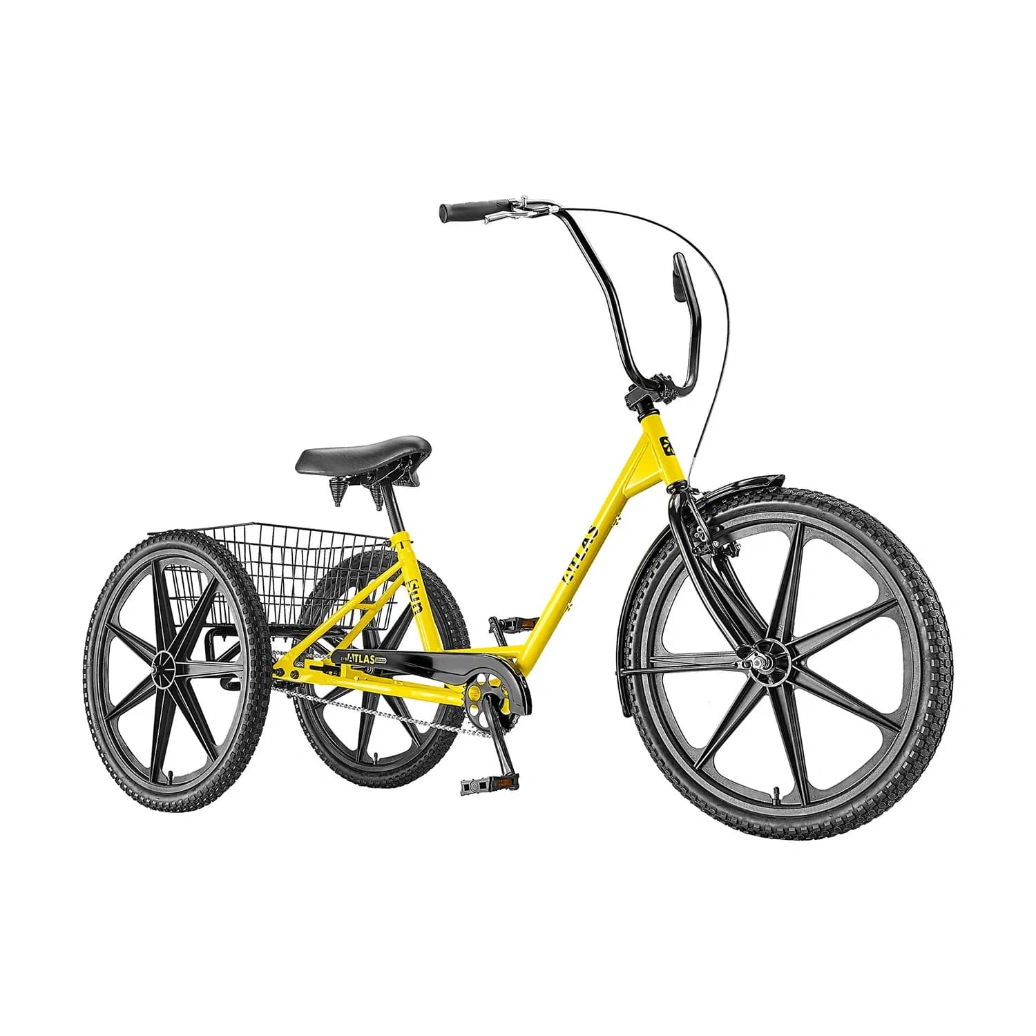 Standard Adult Tricycle