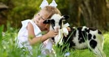 Young girl cuddling baby goat in grassy farm meadow