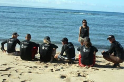 Surf'n Safari Half-Day Surf Lessons & Guided Reef Walks Near Lahaina