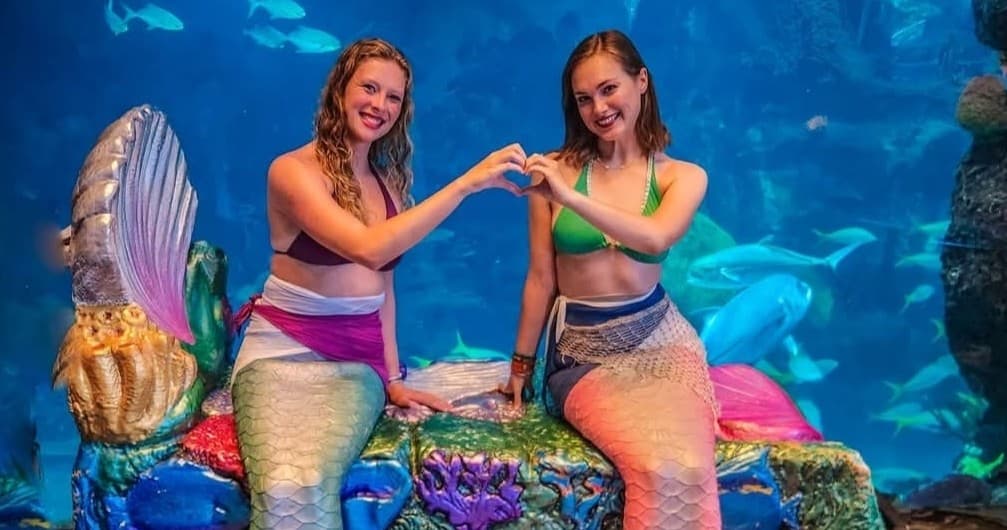 Marine Encounters at Denver Aquarium with a Mermaid photo 1