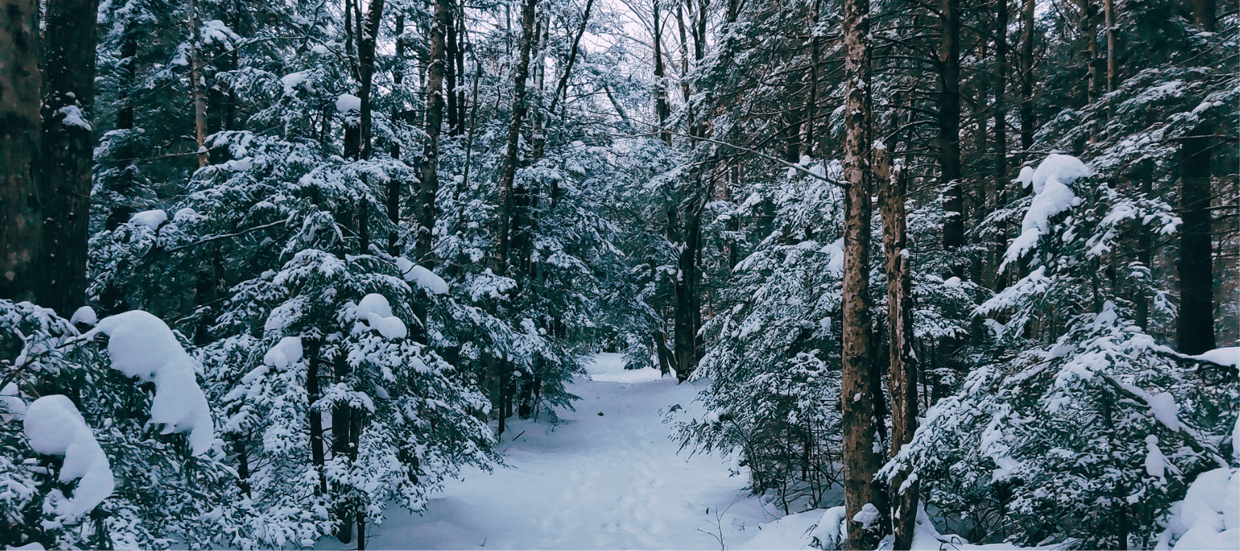 Snowshoeing with the Shakers: Winter Hike at Canterbury Shaker Village