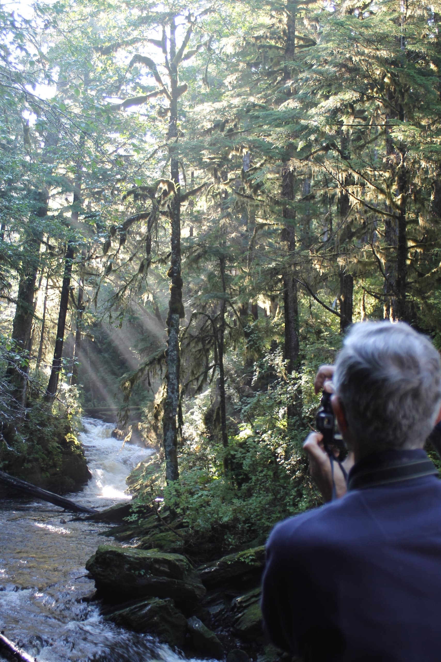 Ketchikan Tours’ Tongass Rain Forest Walk in Alaska