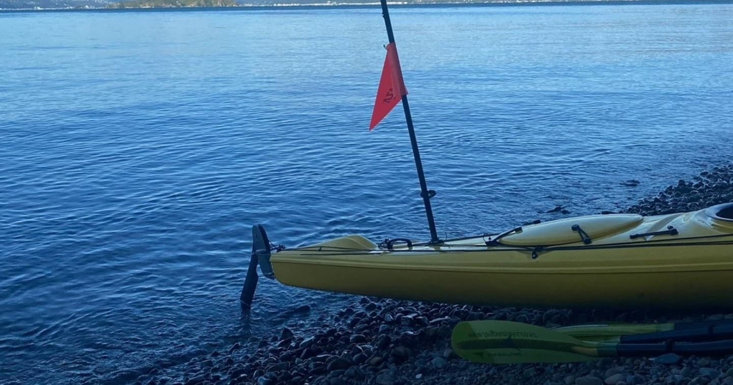 Race-Ready Kayak and SUP Long-Term Hires at Shed 6, Wellington