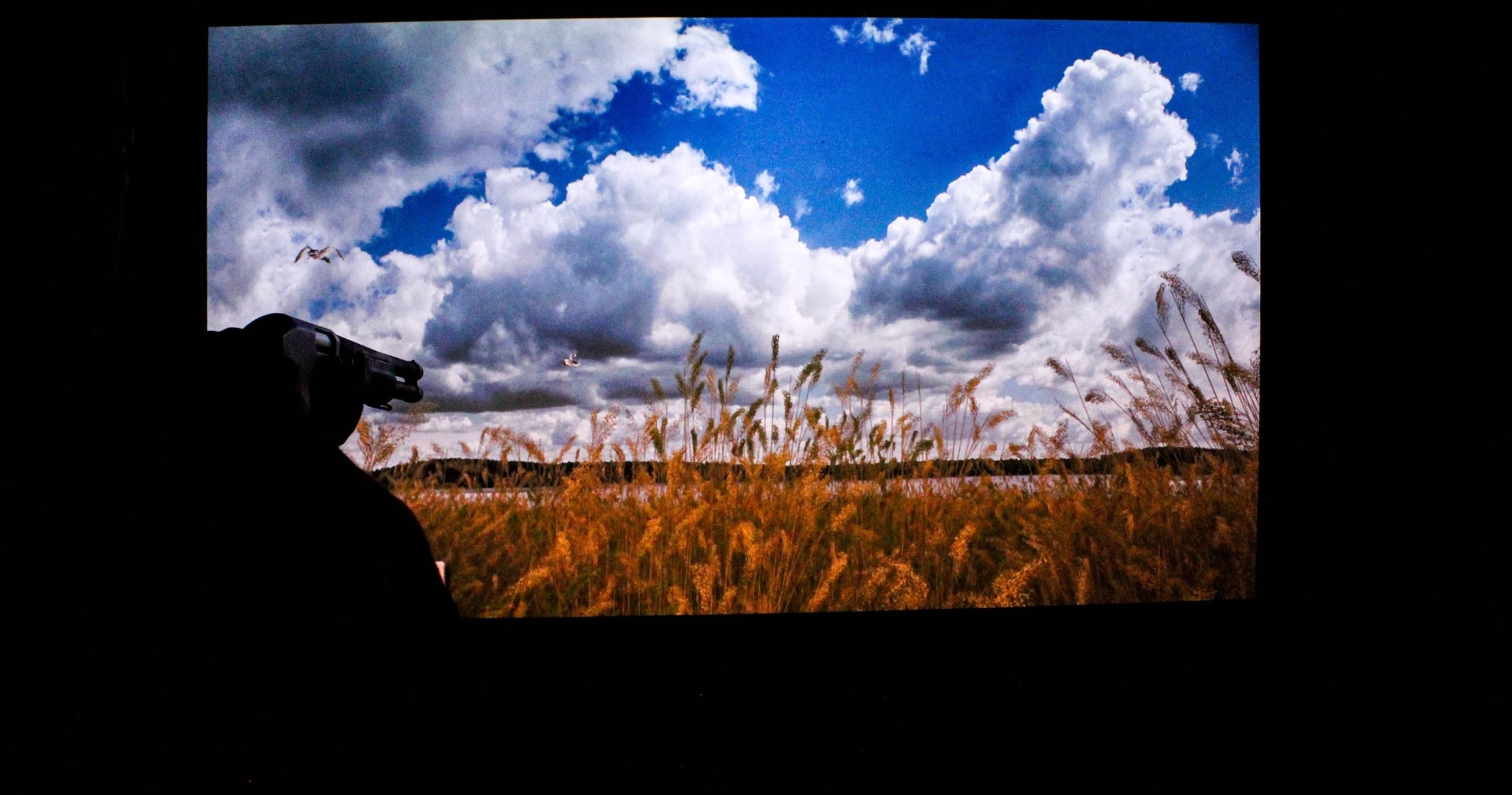 Wheat field under dramatic cloudy sky in open countryside panorama