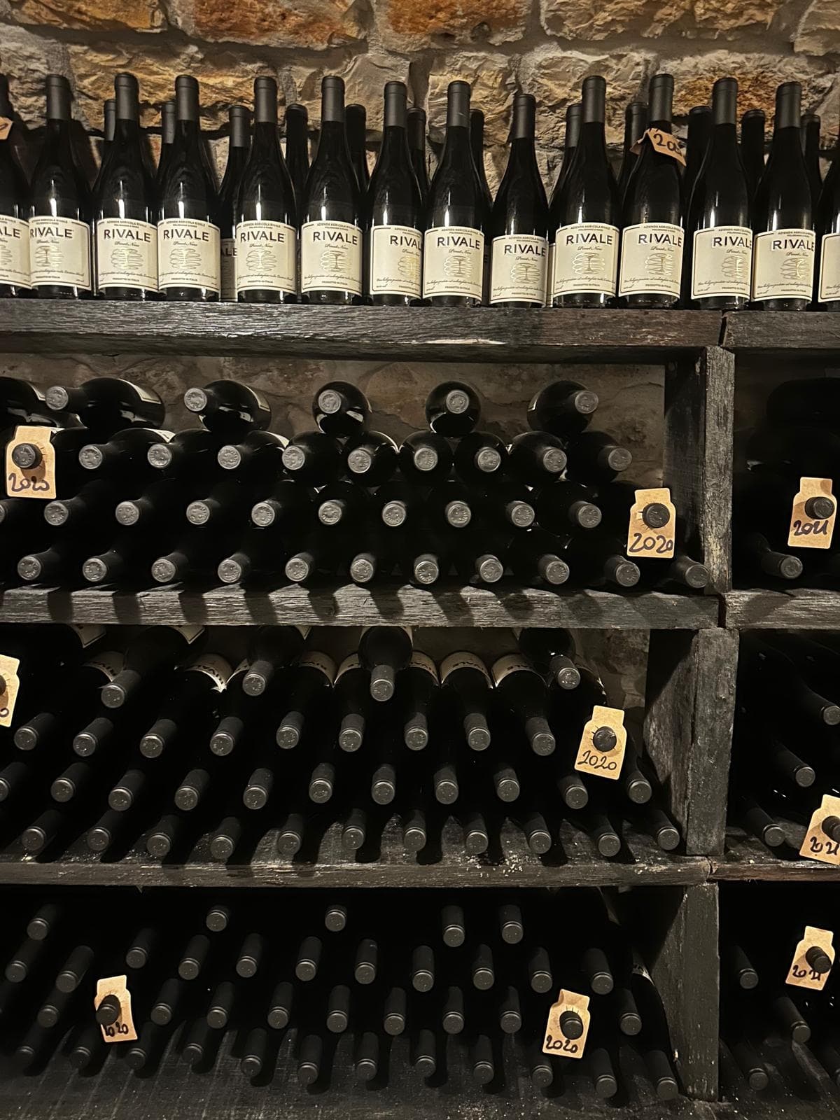Polignano Farm Walk and Tasting — Puglia Vineyards, Olive Oil & Rustic Agriturismo photo 2