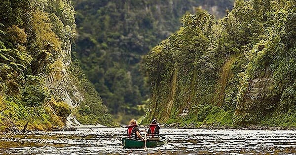 Whanganui River Paddling with Unique Whanganui River Experience