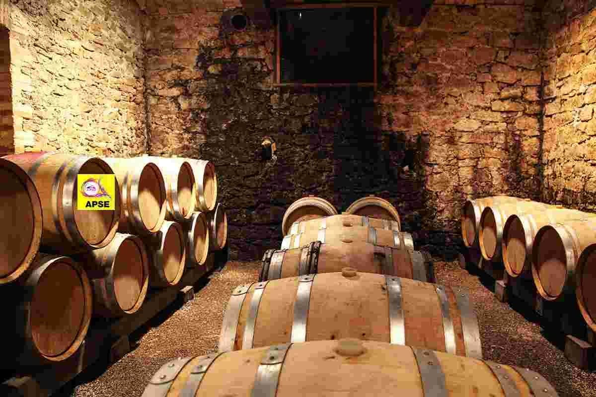 Hunter Valley Wine Tours — Day Trip from Sydney to Pokolbin Wineries photo 3