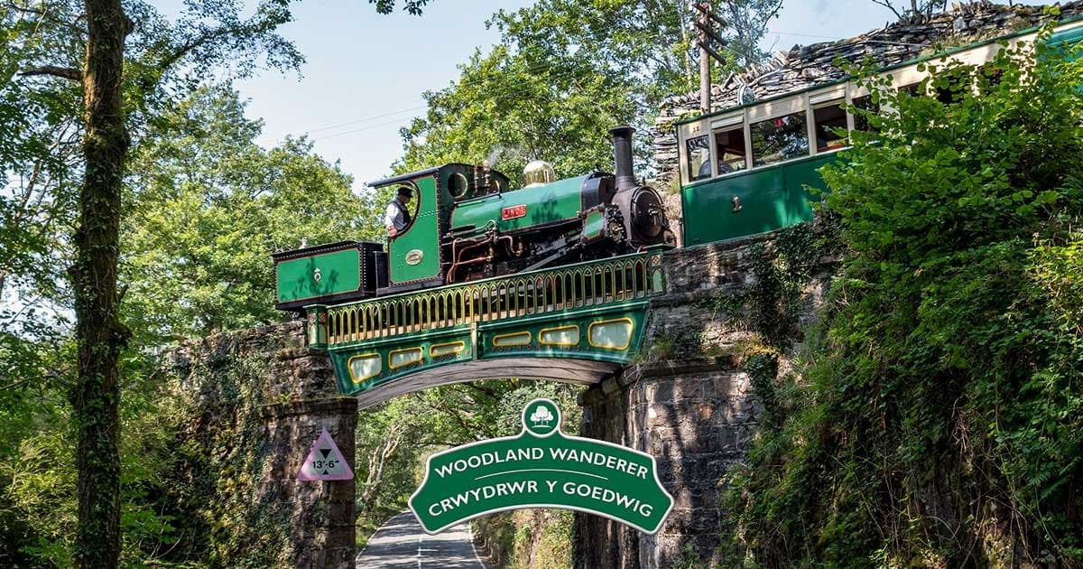 Heritage Woodland Train Ride with Ffestiniog & Welsh Highland Railways
