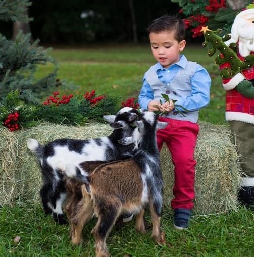 Holiday Farm Day Camp in Brookshire, Texas