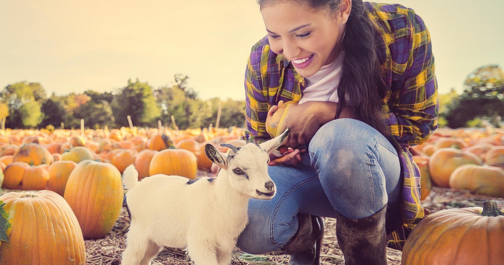 Experience Fall Magic at Northborough’s Pumpkin Patch & Petting Zoo