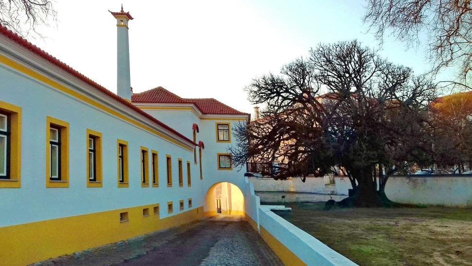 Maritime Tour | Bike Tour in Aveiro | City Tour, Sightseeing Tour, Museum photo 1