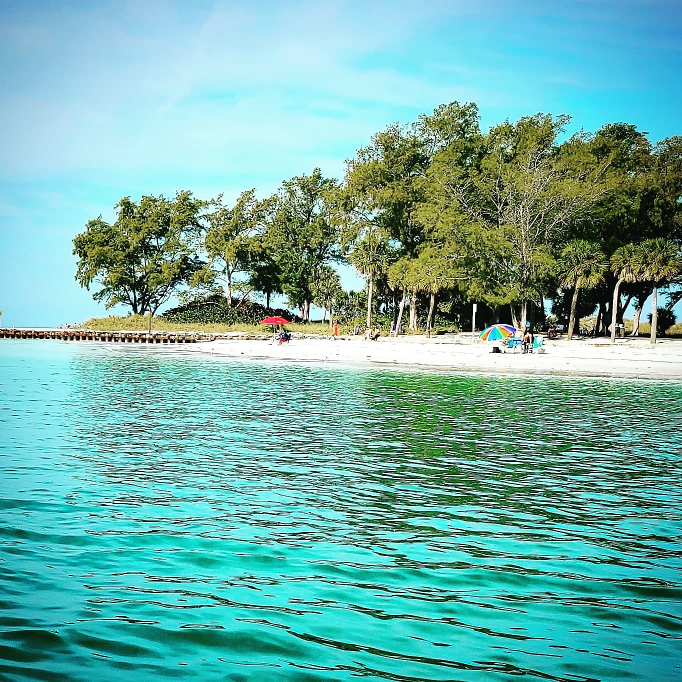 Tropical shoreline with turquoise water and shaded beach trees