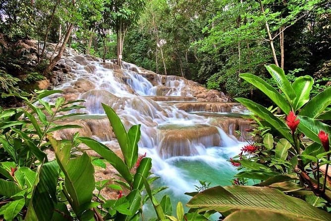 Climb Dunn's River Falls and Swim the Blue Hole — Half-Day Shuttle from Ocho Rios