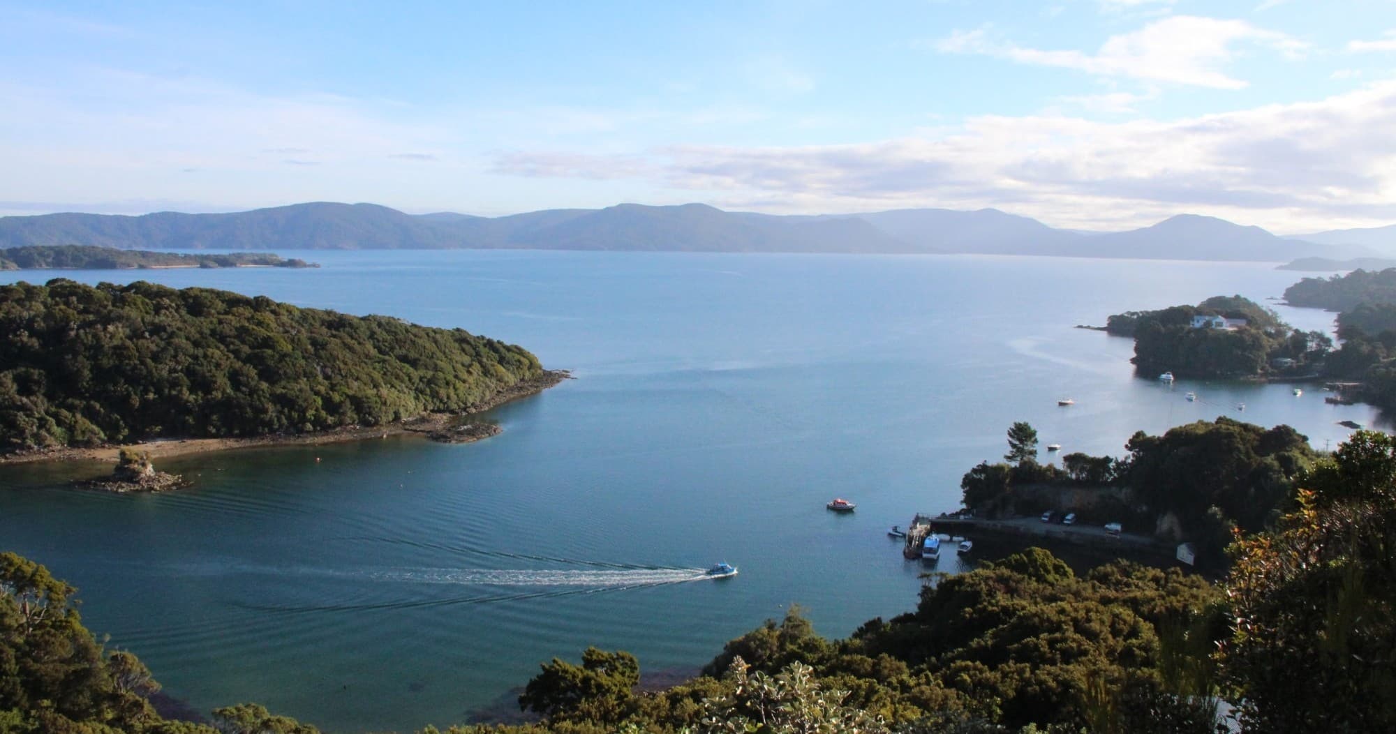 Scenic Boat Tour with Rakiura Adventure Ltd in Stewart Island