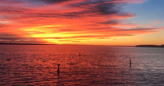 Explore Roanoke Sound on a Private Pontoon Boat with Nags Head Rentals