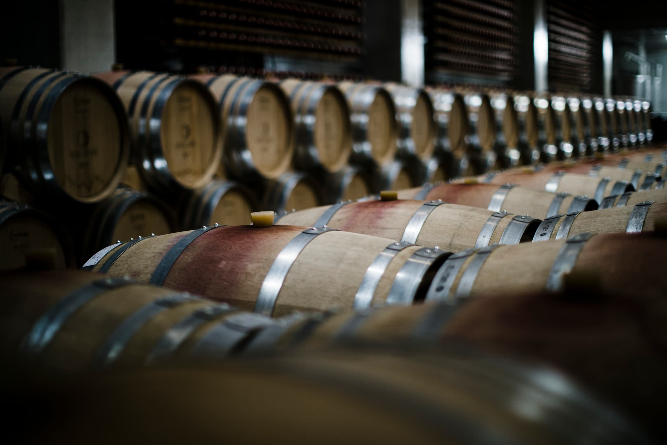 Wine Tasting Day Trip from Lisbon with West Portugal Tours
