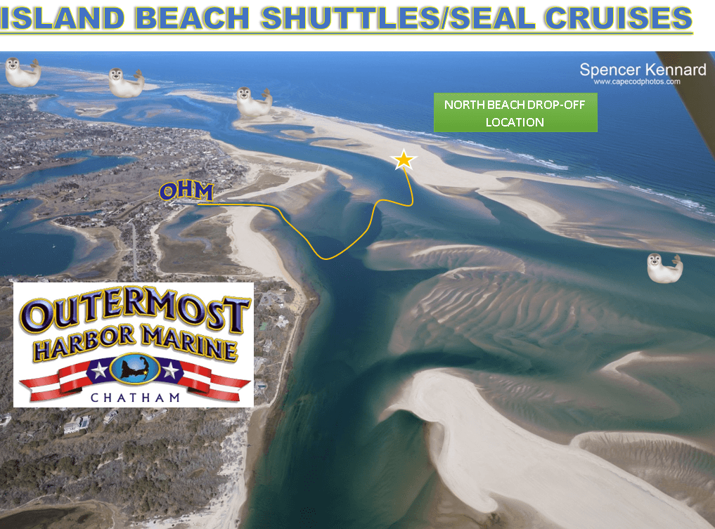 Wildlife & Beach Adventure with Outermost Harbor Marine
