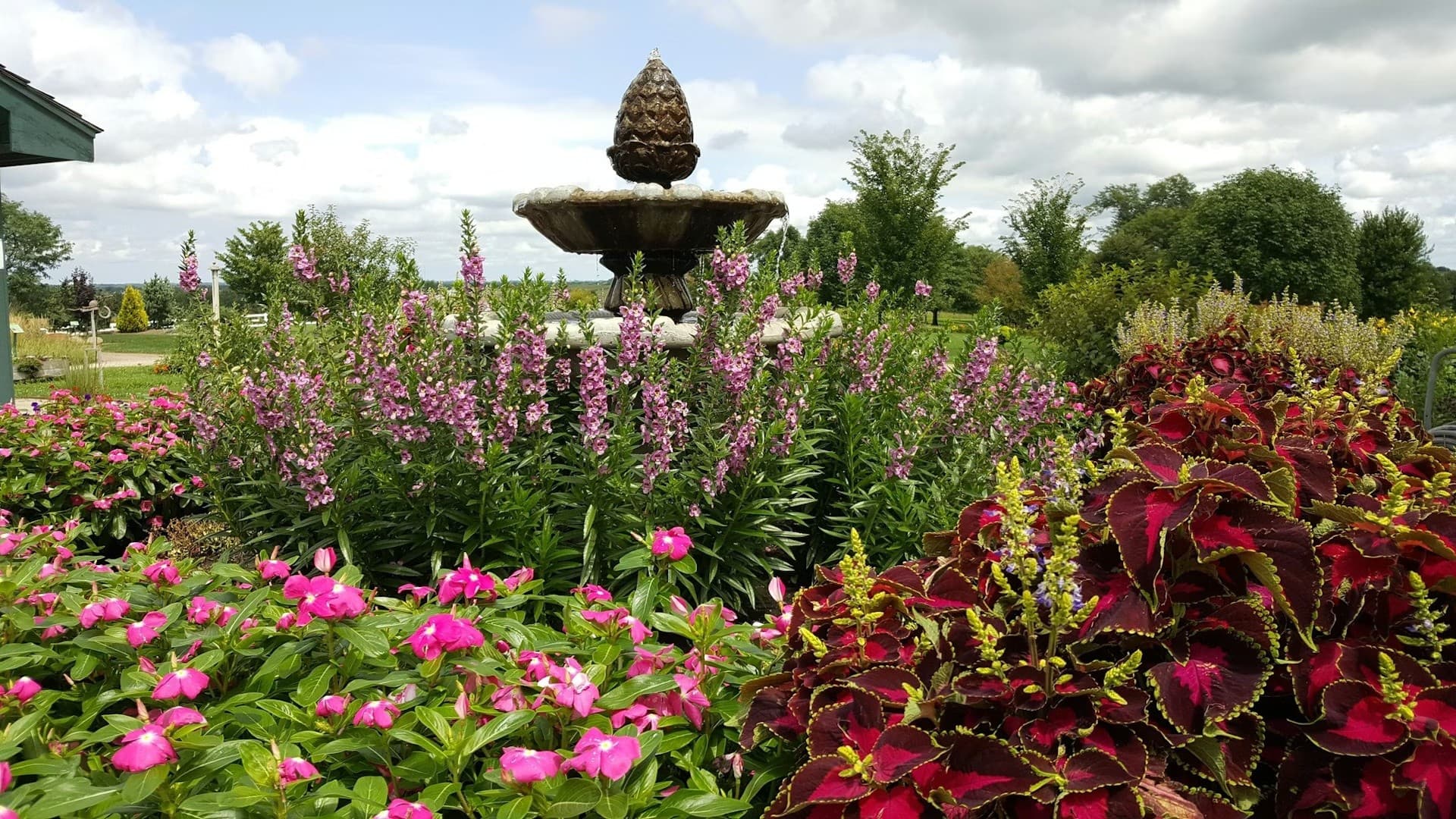 Botanical Bus Trip: Delights of Dubuque — Mississippi River Gardens & Riverfront Tour photo 1