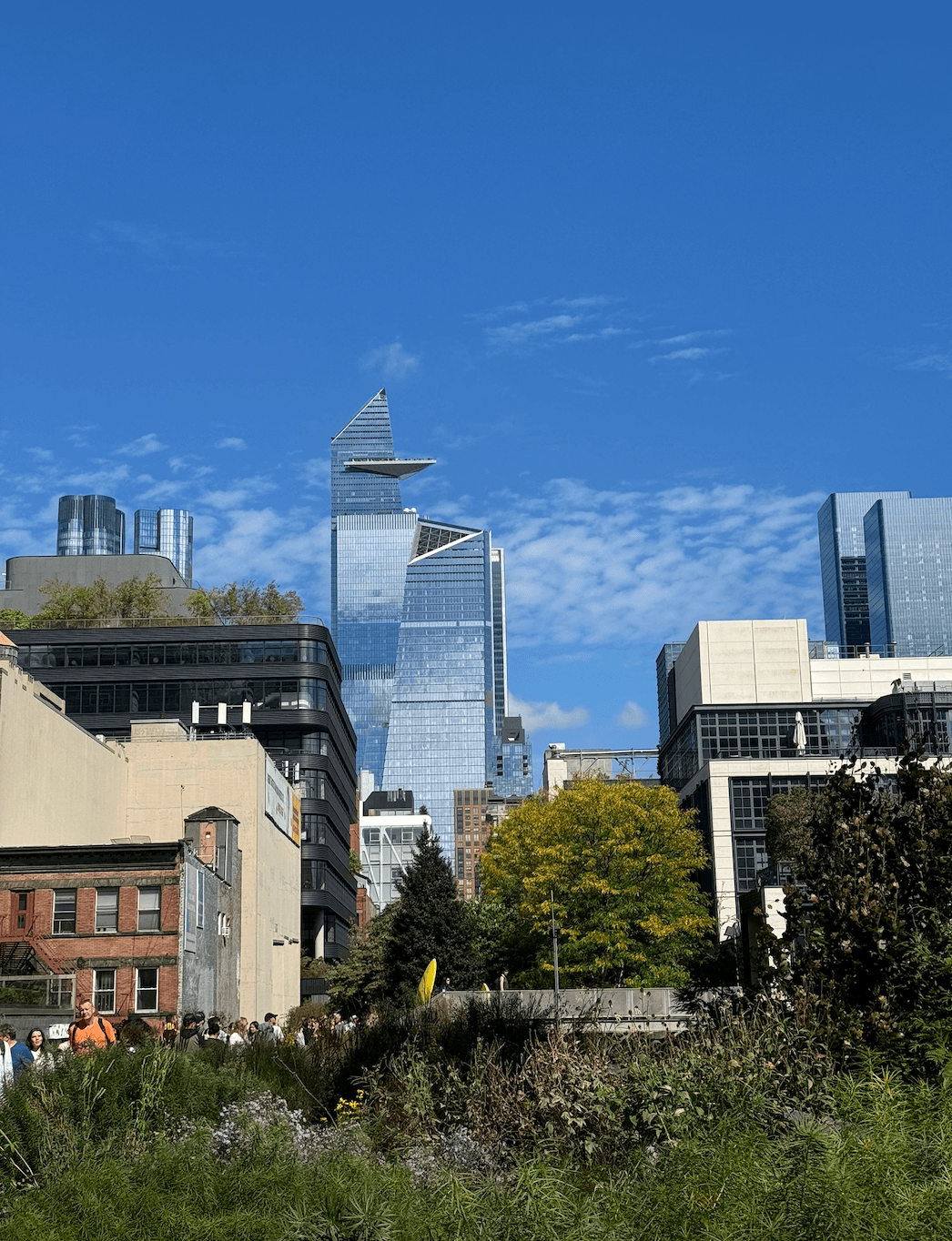 City skyline with modern towers and blue sky, park foreground
