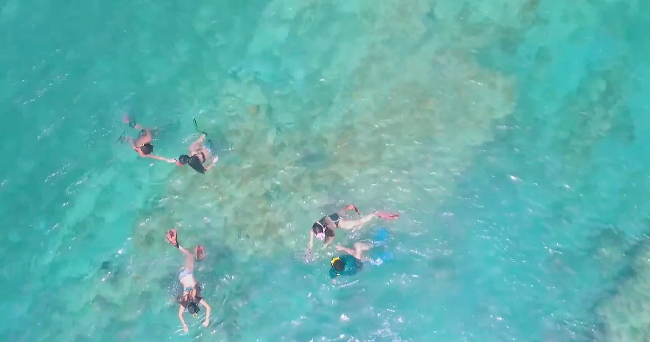 Pirate Snorkeling Shack team