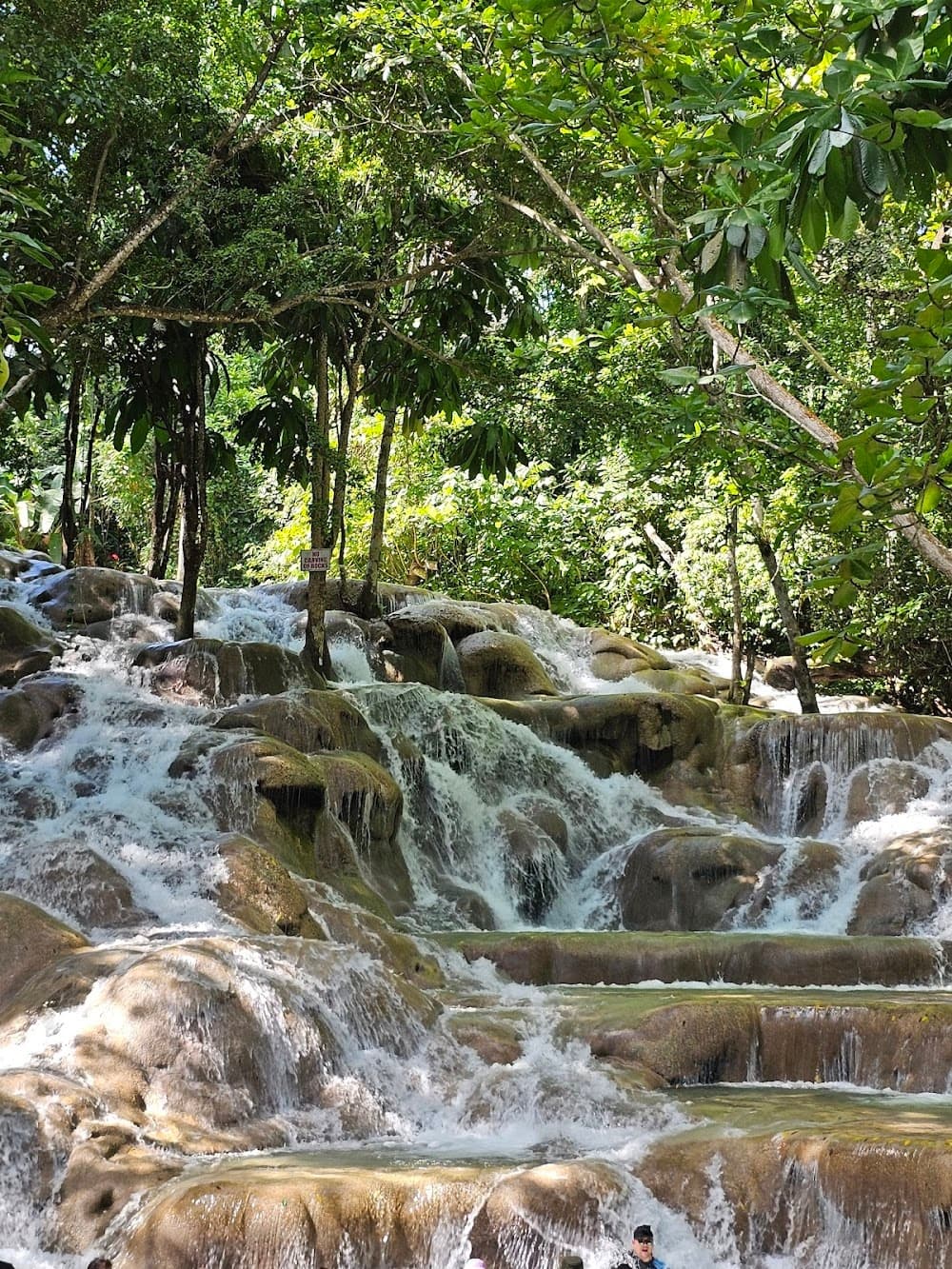 Climb Dunn's River Falls and Swim the Blue Hole — Half-Day Shuttle from Ocho Rios photo 3