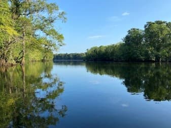 Quiet Passages: Mifflin Lake Cruise on the Tensaw River Delta