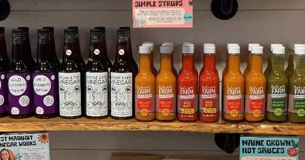 Fermented Food Tastings at Maine Tasting Center