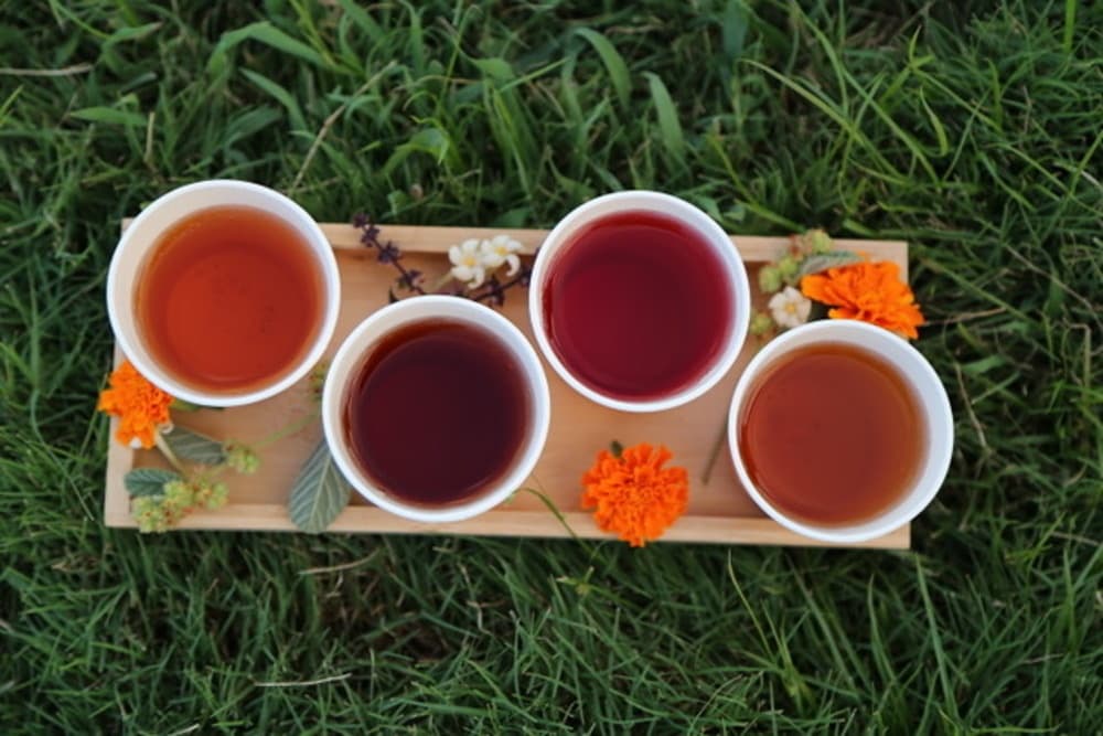 Sip and Savor: Herbal Tea and Tropical Fruit Tasting in Lahaina, Hawaii