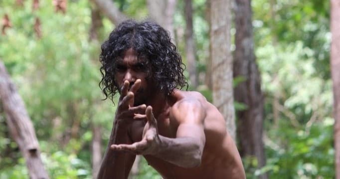 Paperbark Arts & Cultural Tours fleet