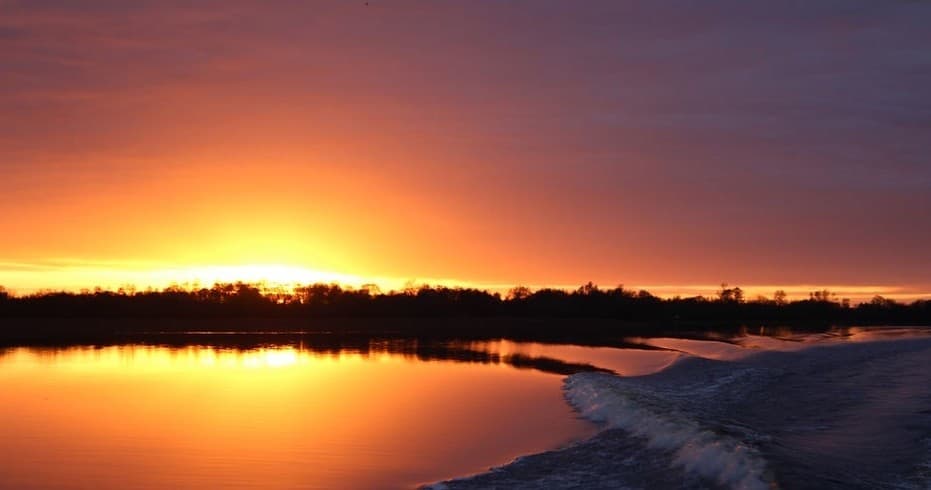 Inner Lakes Boat Tour with Hidden Heartlands Tours in Athlone