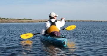 Explore the Hidden Wetlands on the Kitty Hawk Maritime Forest & Marsh Kayak Tour