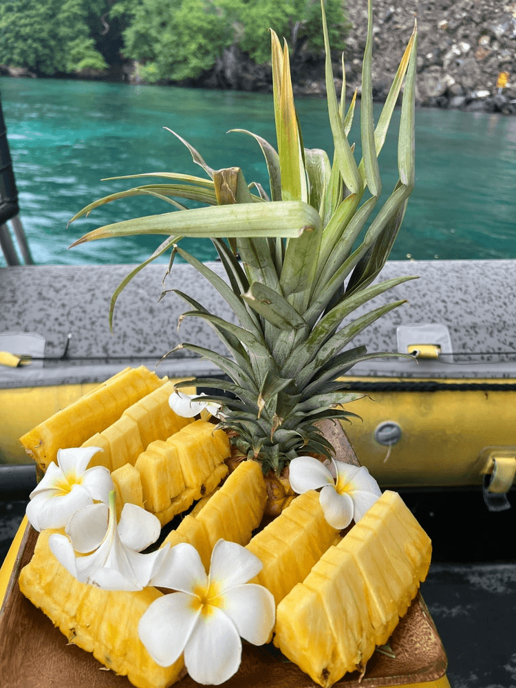 Private Kealakekua Bay Snorkel and Dolphin Watch at Captain Cook Monument photo 4
