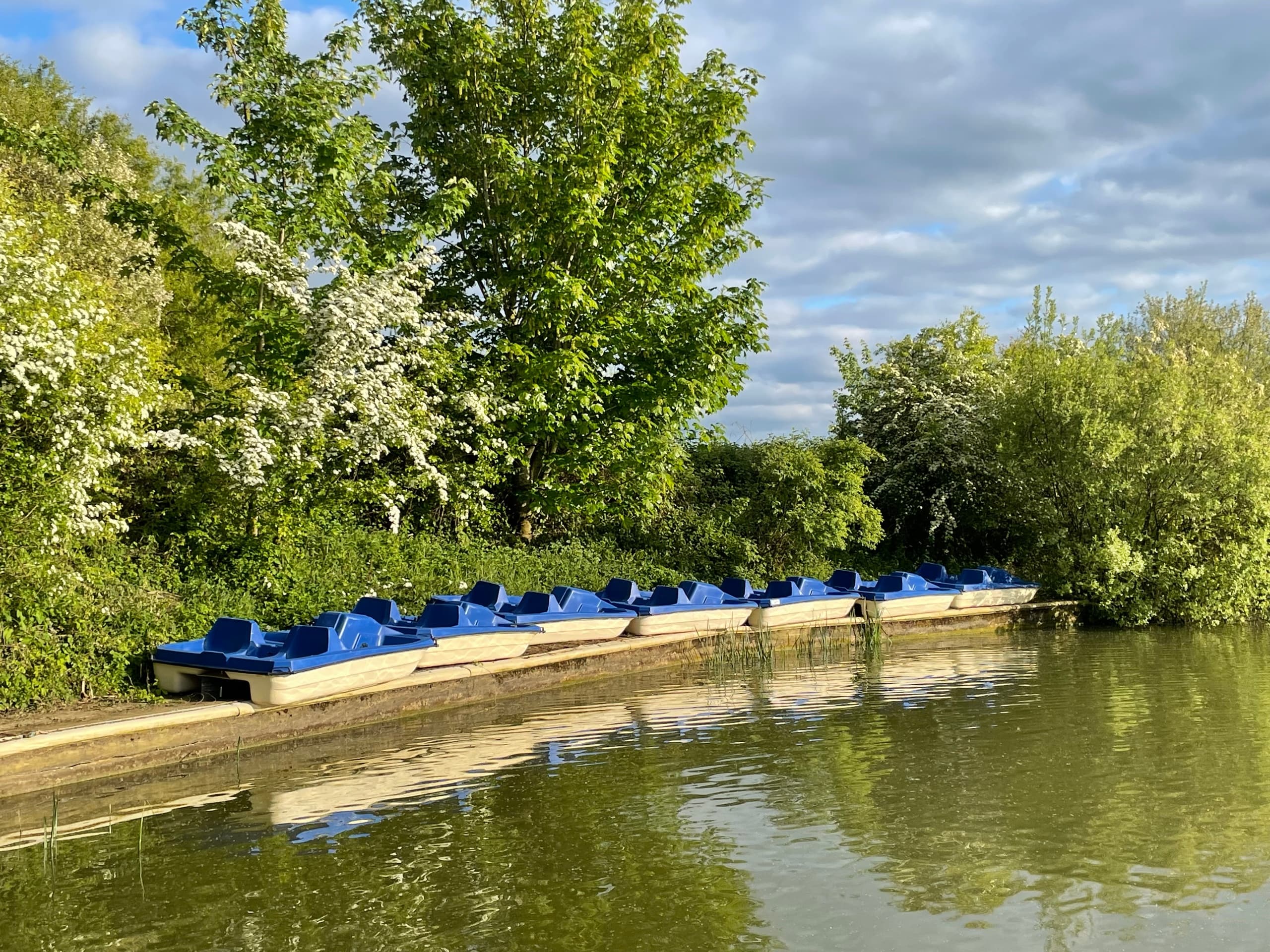 Pedalos on Frisby Lakes with Frisby Lakes Paddlesports
