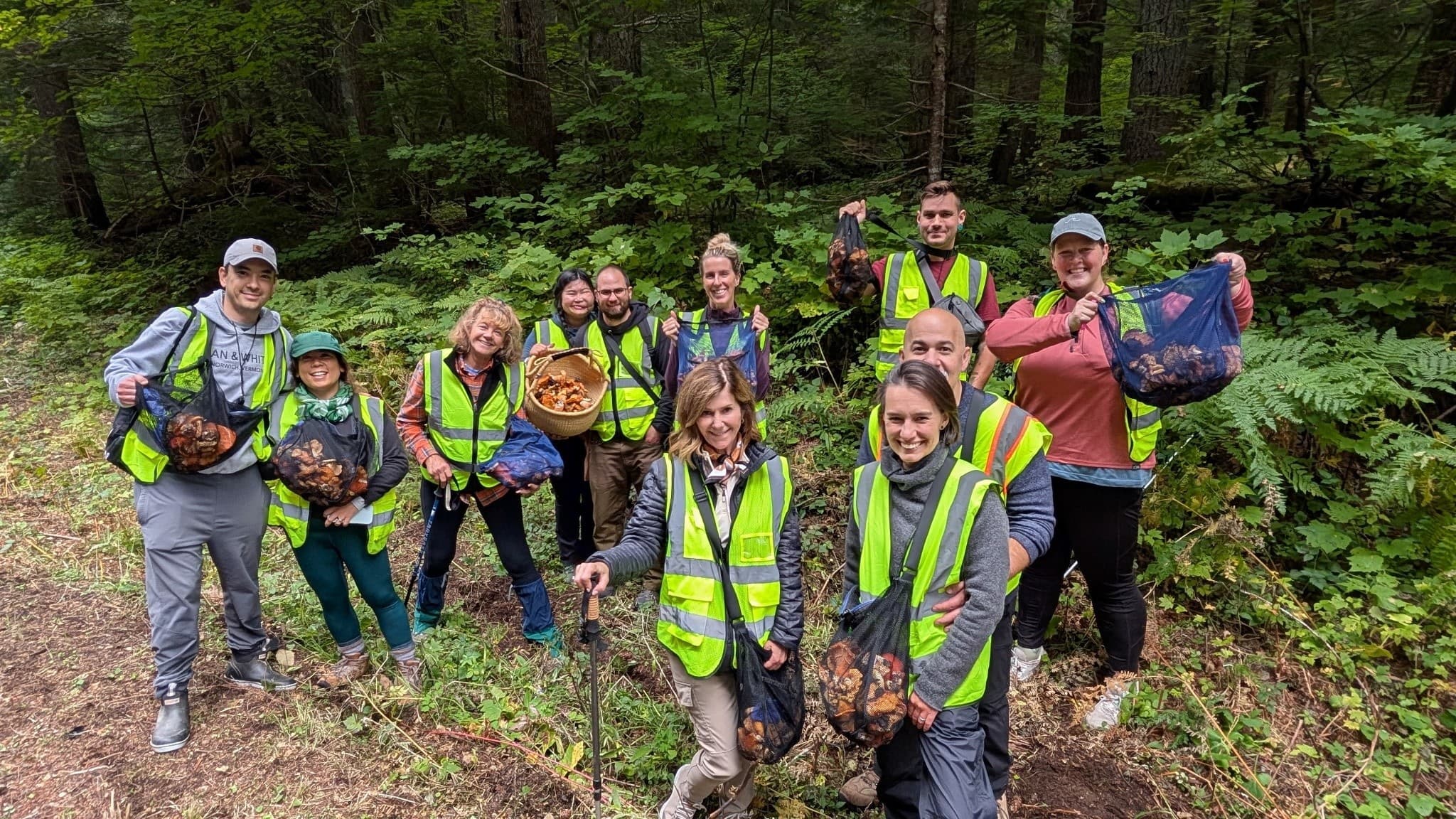 Copalis Coastal Mushroom Hunt: Porcini, Chanterelles, Hedgehogs & Lobster Foray photo 4