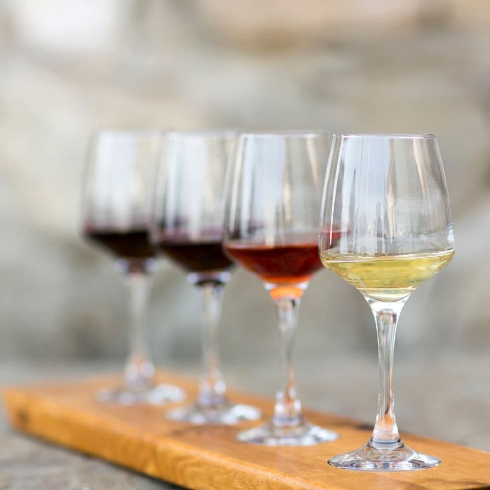 Taste Italy: Olive Oil, Wine & Handmade Pasta from Civitavecchia to Tarquinia photo 4