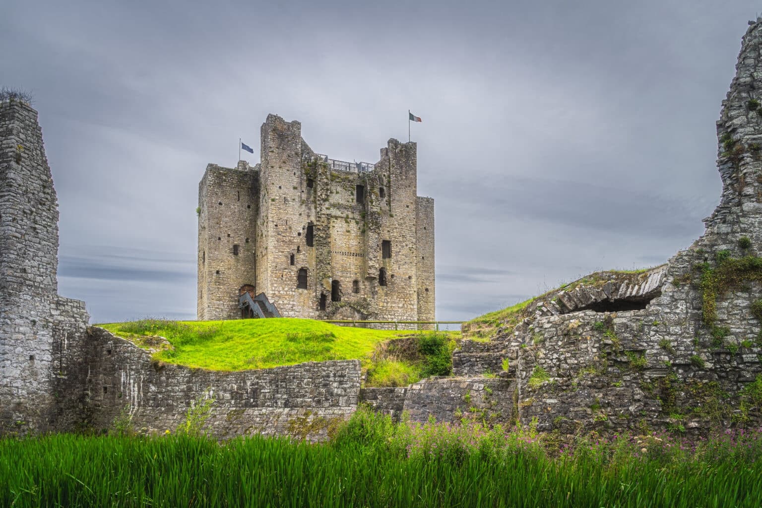 Irish Whiskey & Castles Tour by Irish Luxury Day Tours