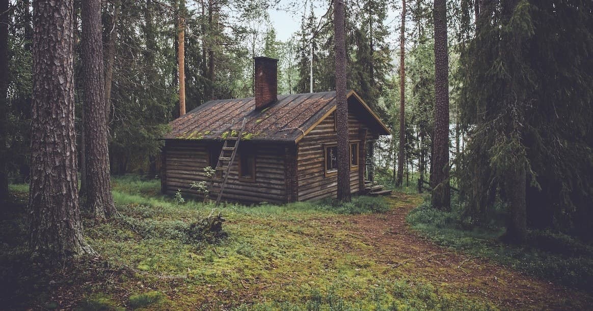 Secluded wooden cabin in mossy pine forest for wilderness retreat