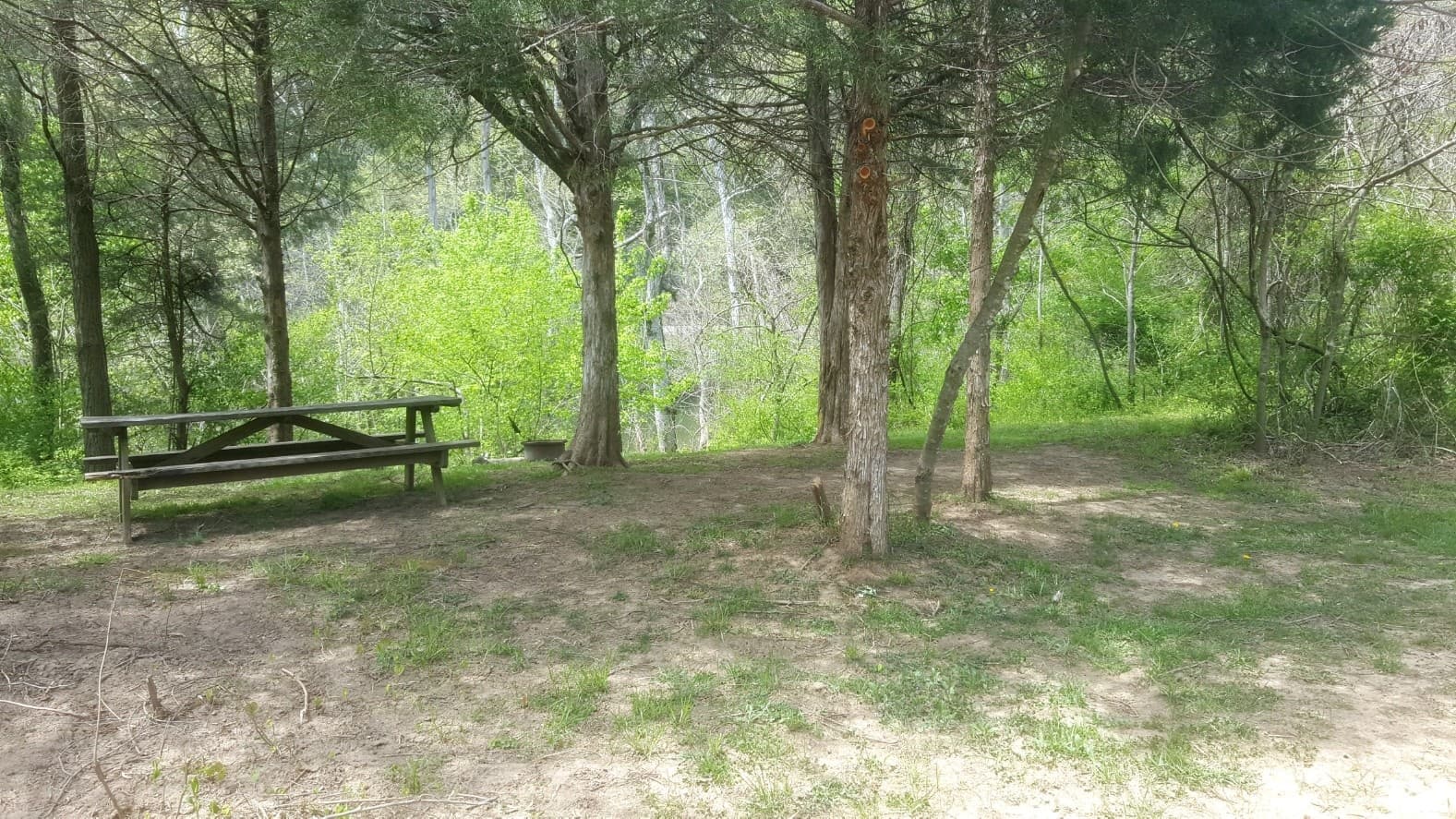 Arcadia Campground in Buchanan, VA: A Riverside Camping Escape for Tent Adventurers