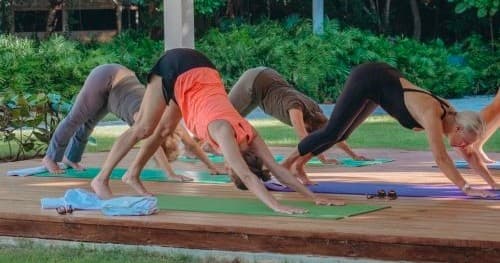 Private Yoga Sessions with Ananda Yoga International in Punta Cana