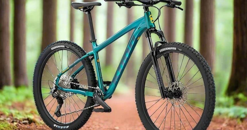 LARGE Kona Cinder Cone 27.5