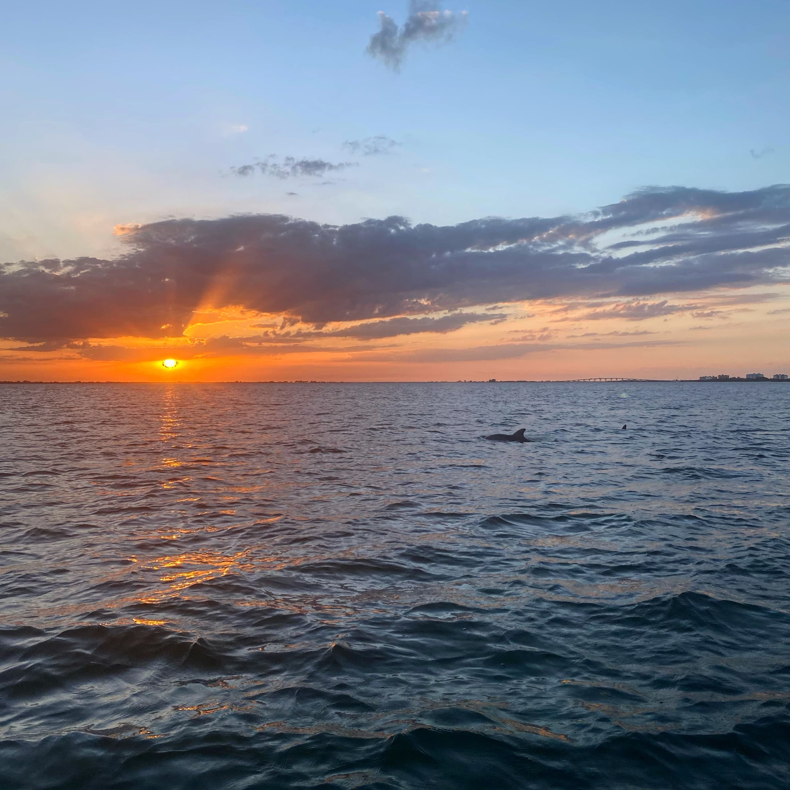 Sunset & Dolphin Tiki Cruise with Tiny Tiki Tours in Fort Myers Beach