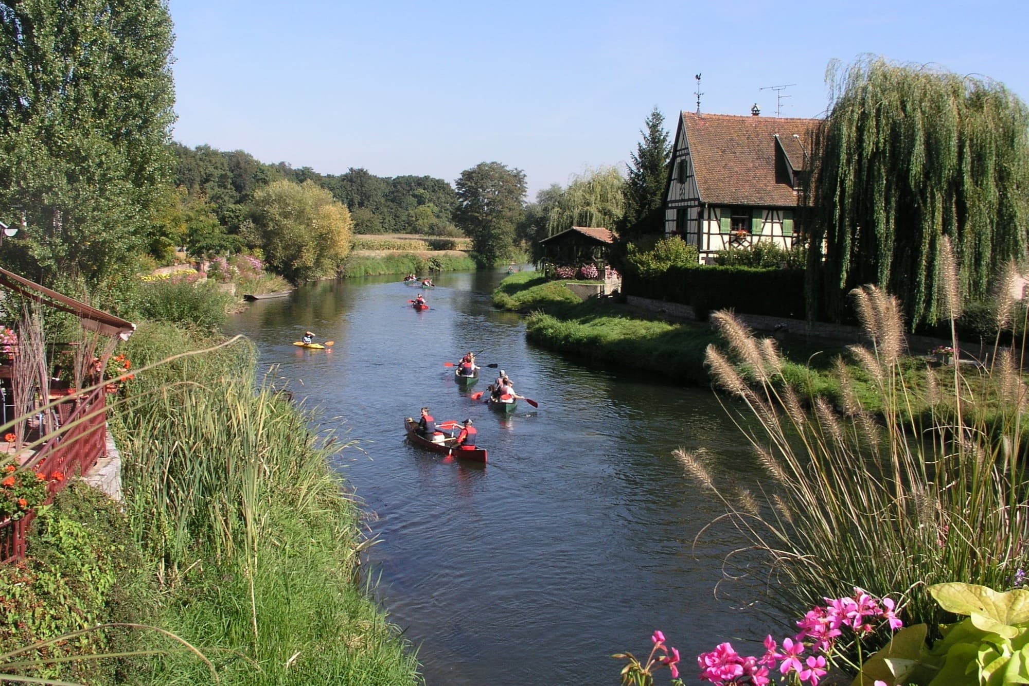 Canoe the Ill River: Guided Paddling through Alsace's Floodplains