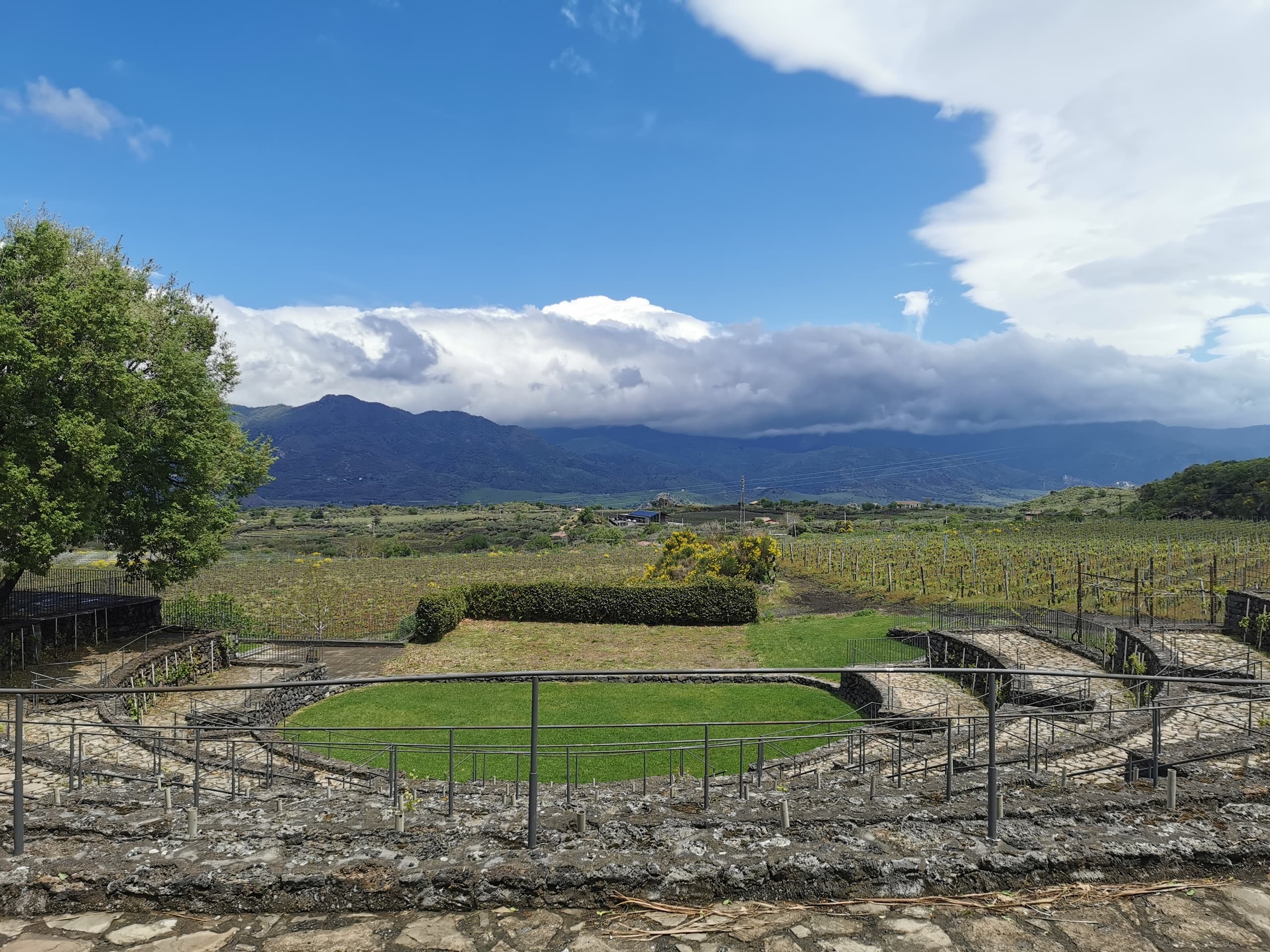 Mt Etna Two-Winery Tasting Tour from Taormina photo 2