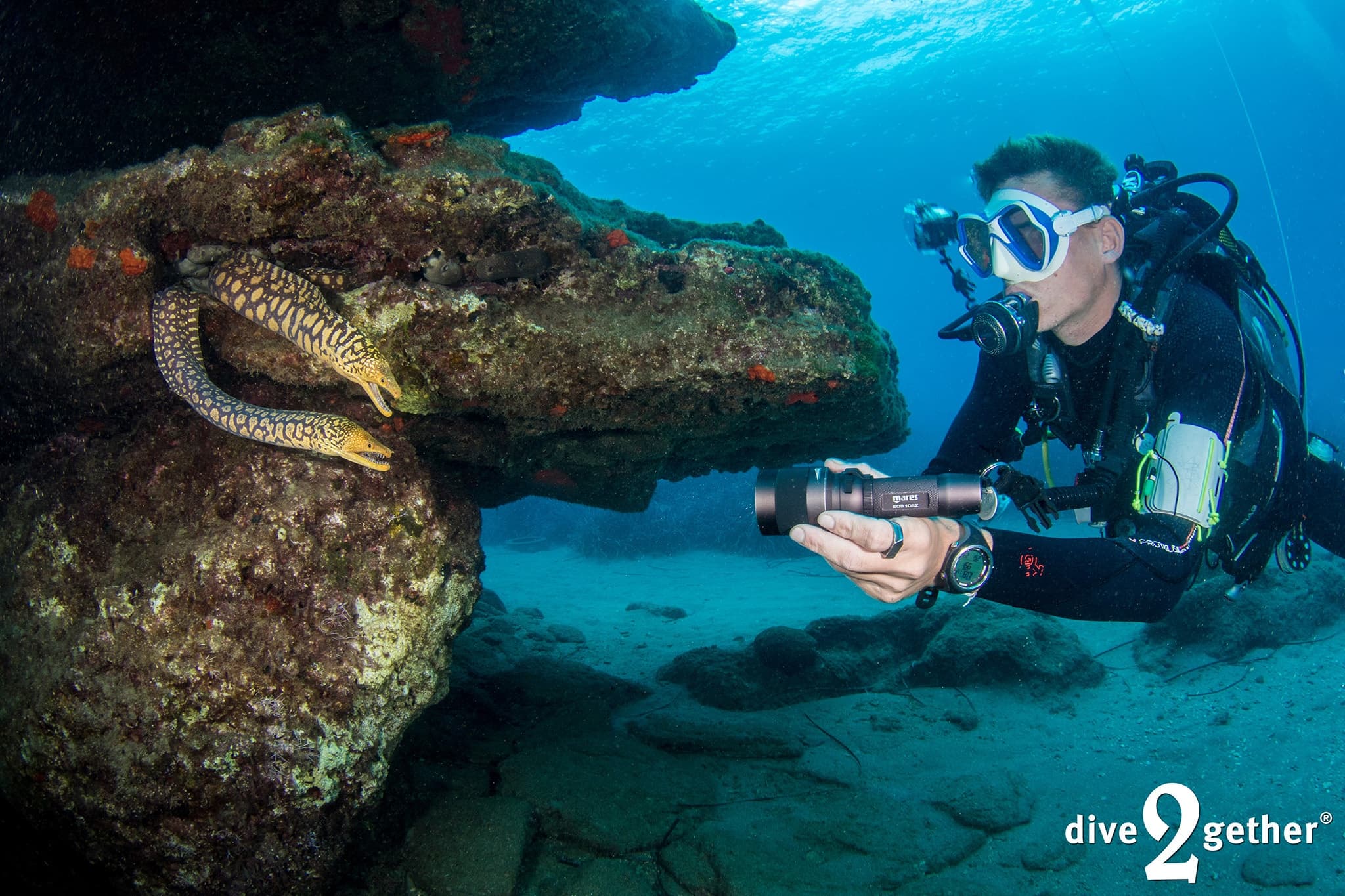 PADI Digital Underwater Photographer Course in Plakias — Dive2gether Crete
