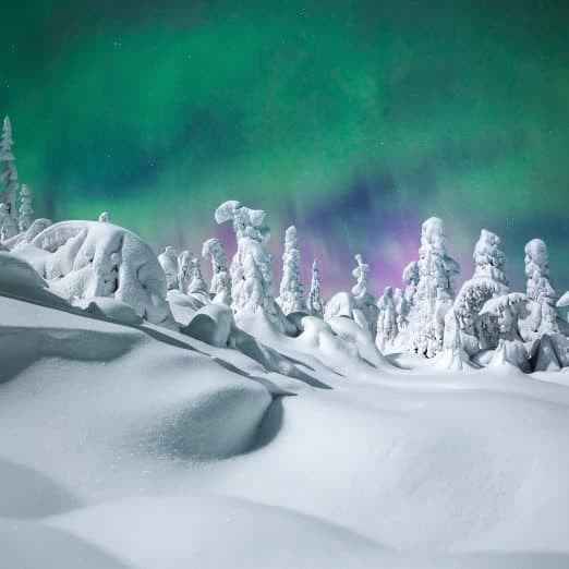 Chase the Aurora: Northern Light Snowmobile Safari from Iso-Syöte photo 1