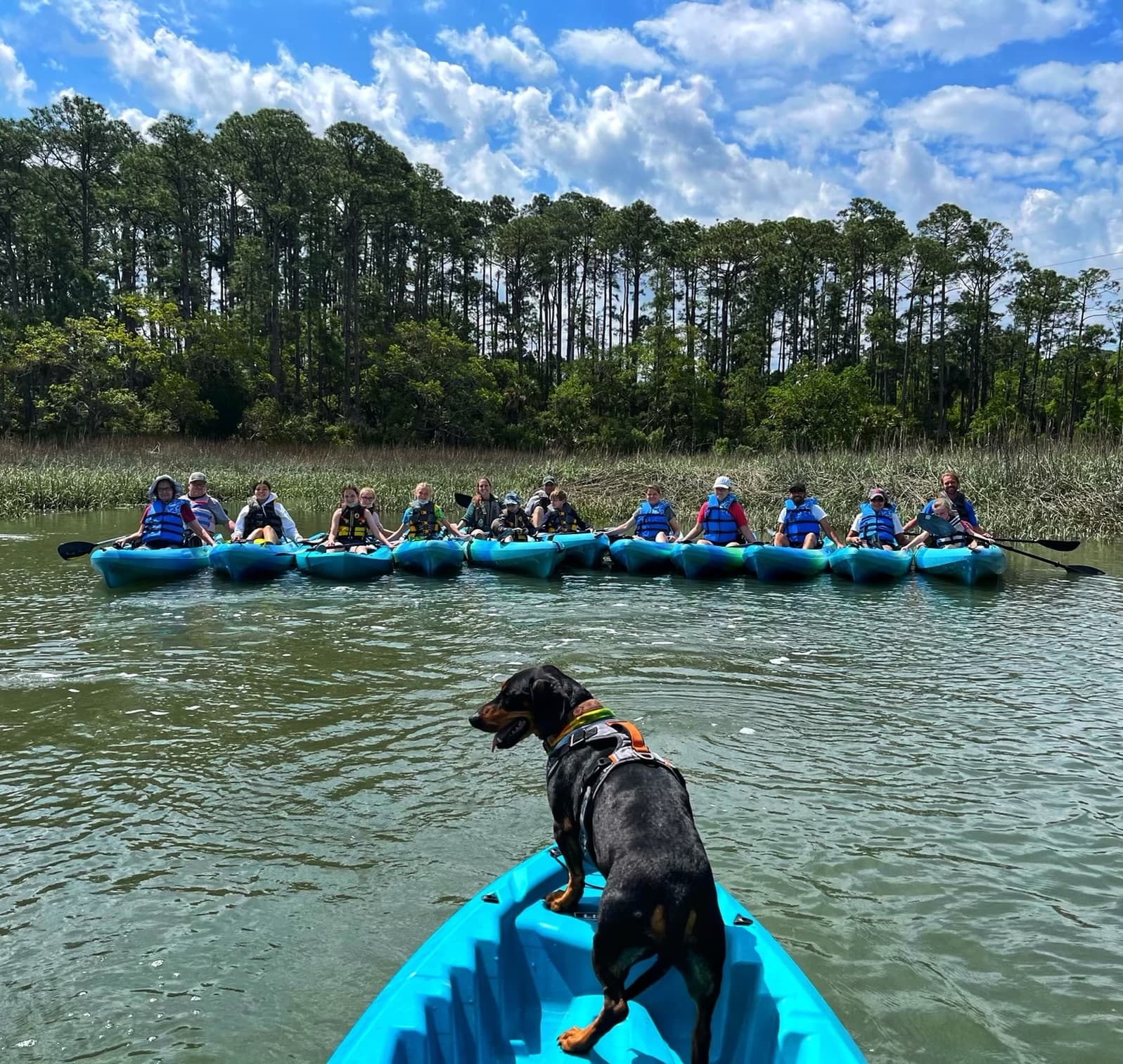 Water Activities & Ocean Surfing with Island Head Surf Lessons