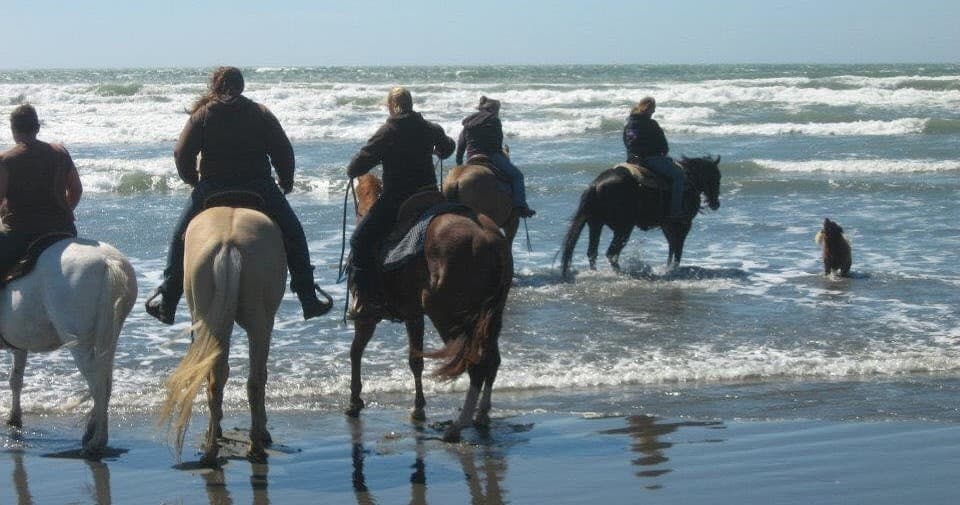 Group horseback riding along ocean shoreline with riders in surf