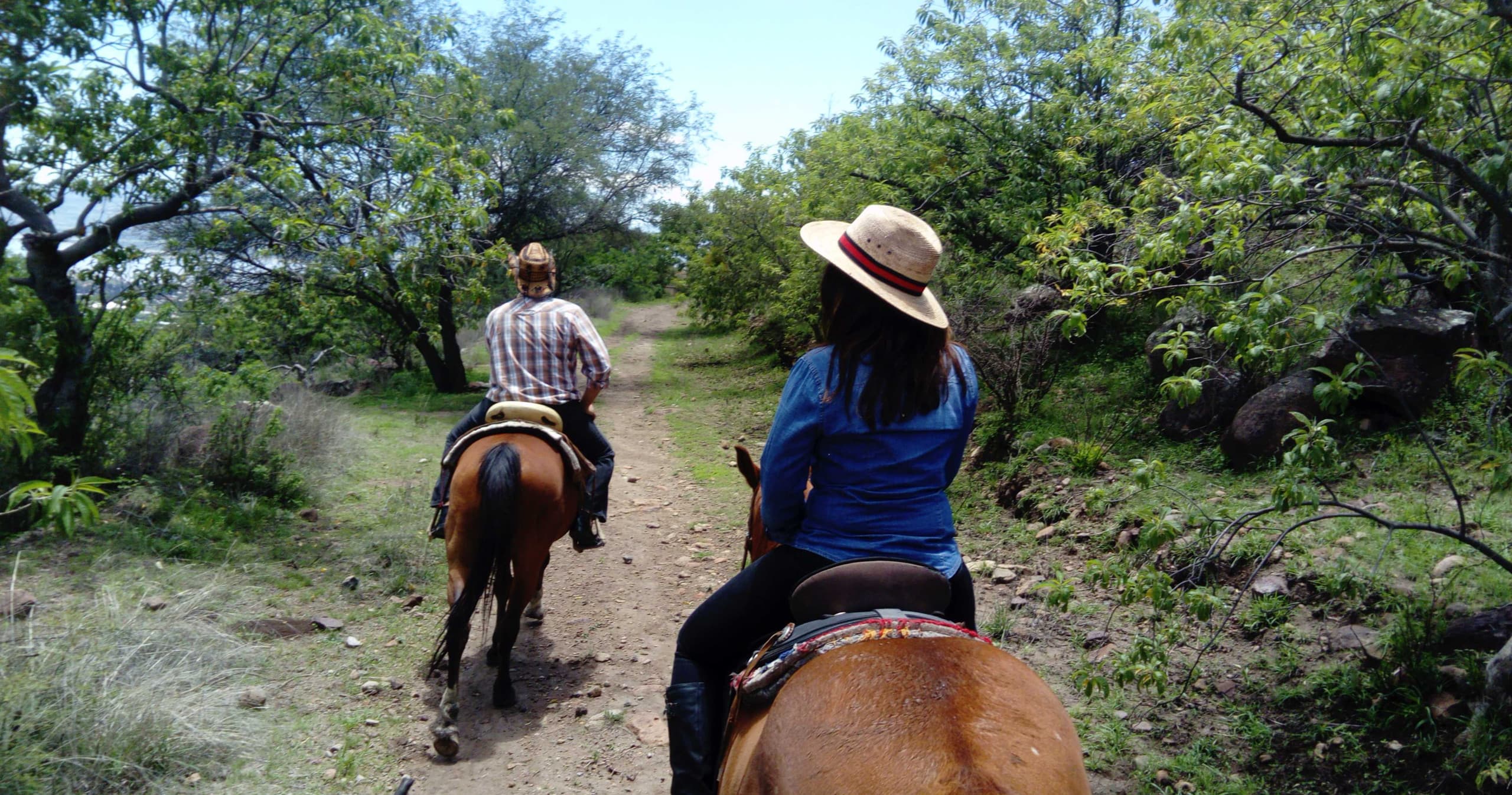 Two horseback riders on scenic forest trail riding away