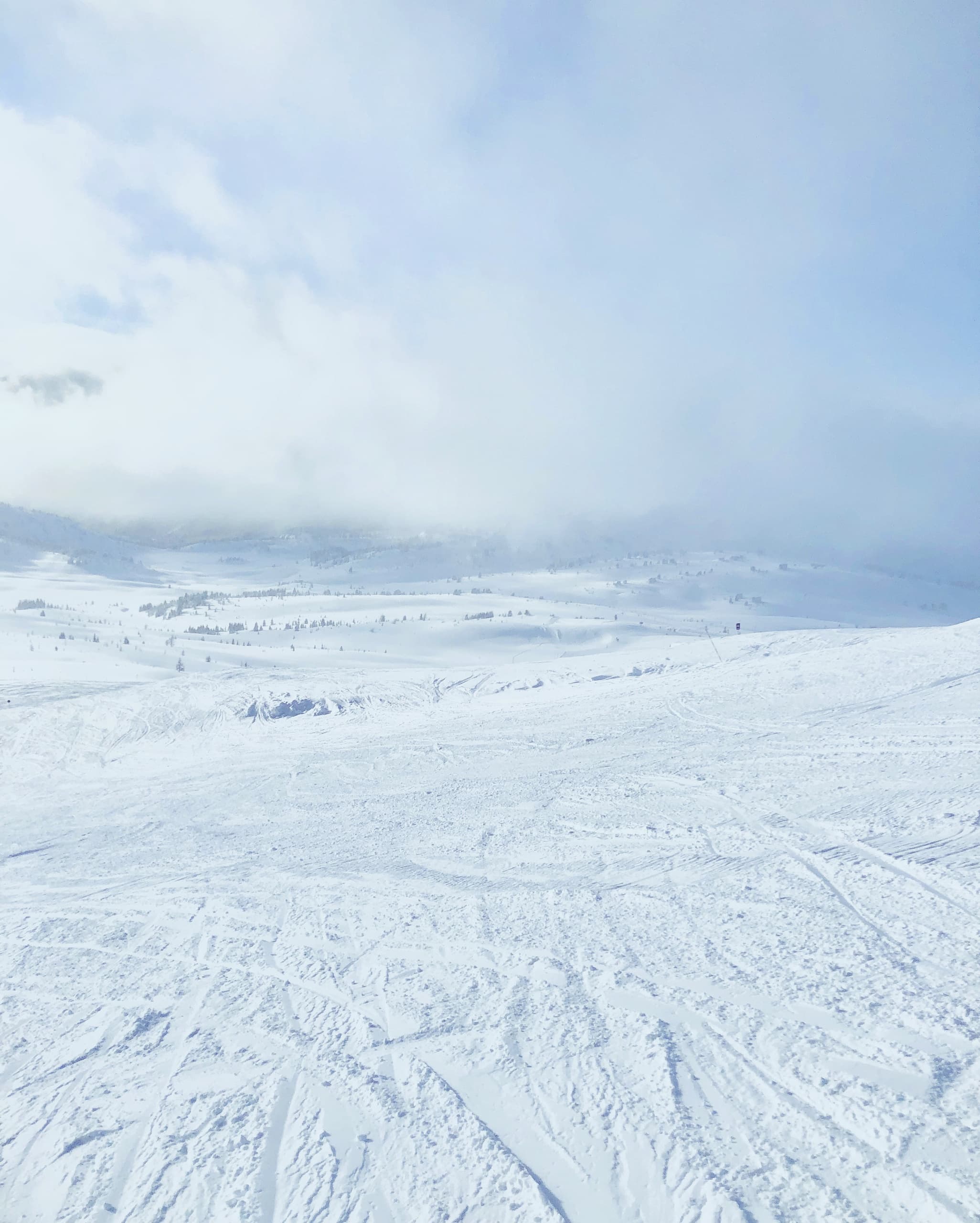 Sunshine Village Snowshoeing: Gentle Winter Meadow Walks Near Calgary photo 2
