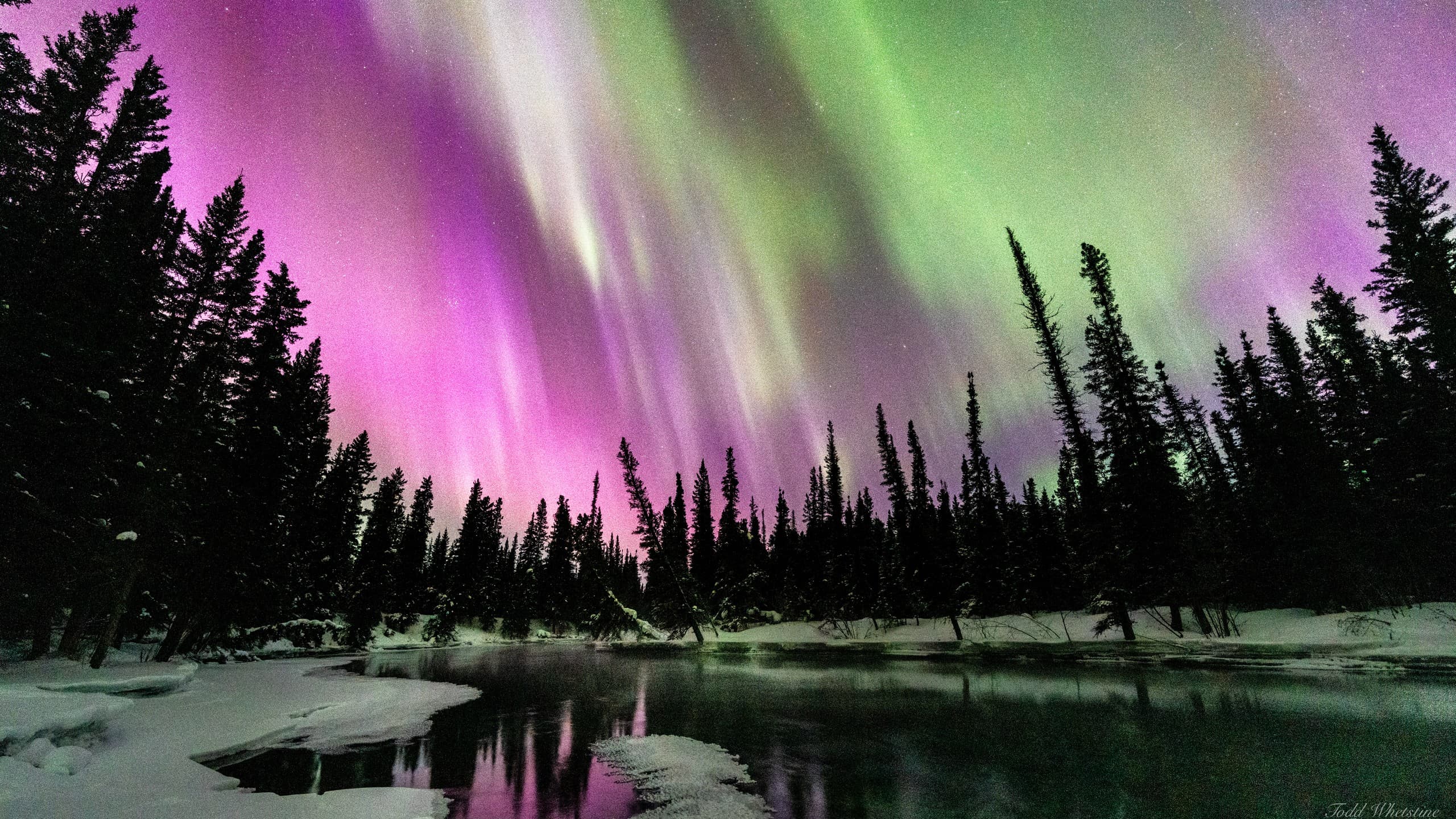 Aurora Masterclass: Private Northern Lights Photography Workshop Near Fairbanks, Alaska photo 1